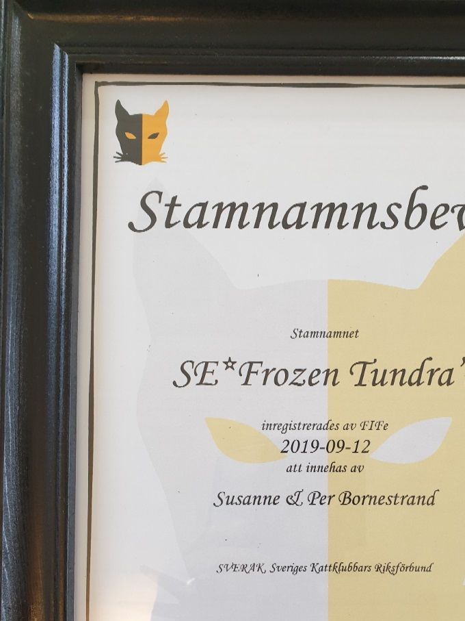 Stamnamnsbevis utfärdat utav SVERAK
